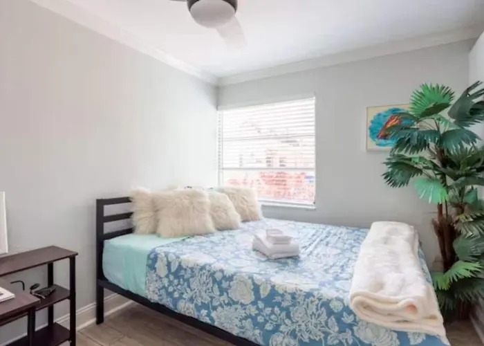 Pet Friendly 1br Steps To Clearwater