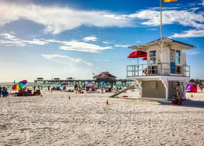 Pet Friendly 1br Steps To Clearwater *