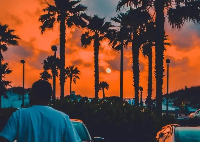 Pet Friendly 1br Steps To Clearwater