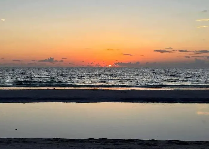 Pet Friendly 1br Steps To Clearwater *
