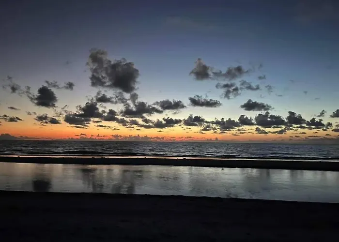 Pet Friendly 1br Steps To Clearwater Clearwater Beach